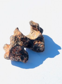 Meteorite Specimen B